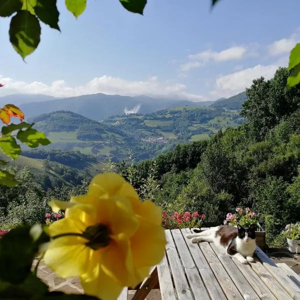 Iaulin Borda B&B, Hotel in Zubieta