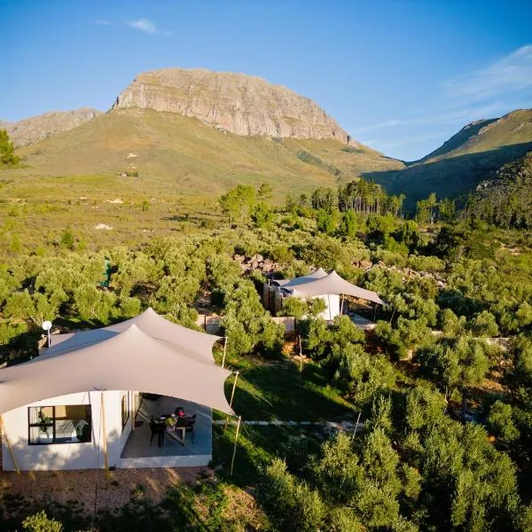Wagyu Mountain Lodge, hotel in Paarl
