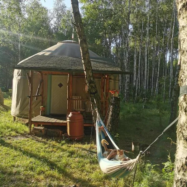 Biały Las Jurta, отель в городе Starzyna