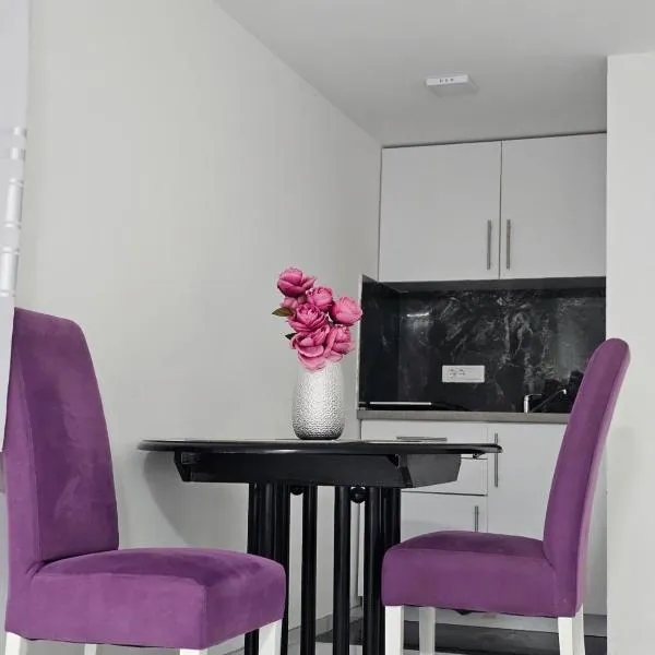 Studio Dana, hotel in Arandjelovac