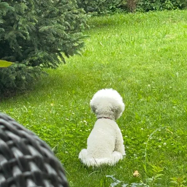 Lucky's House, hotel in Cholpon-Ata