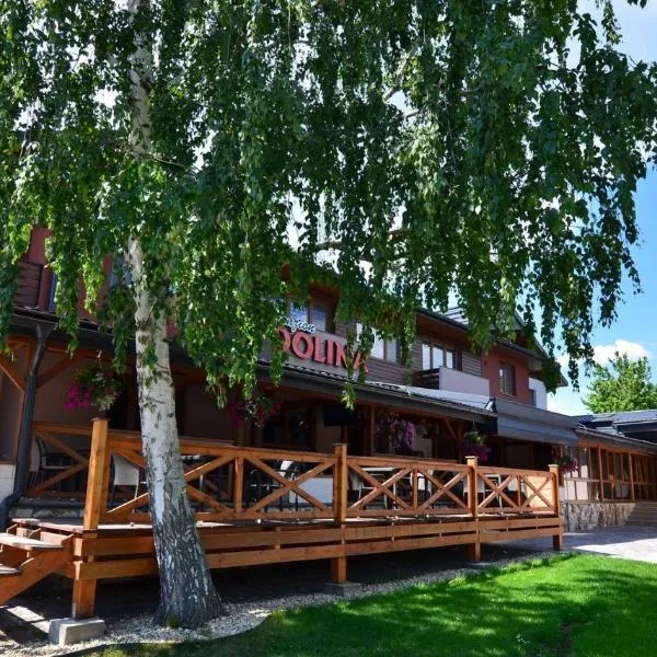 Penzión Dolina，位于维内的酒店