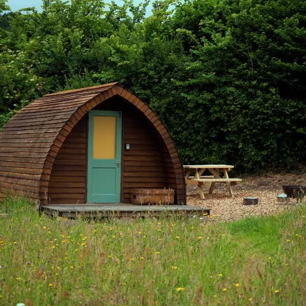 Hogchester Meadow Pods, hotell sihtkohas Charmouth