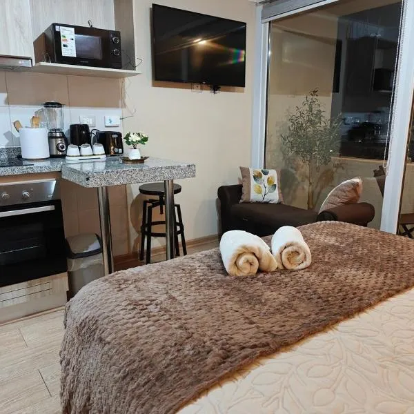 Depto centro de chillan con estacionamiento, hotel in Chillán