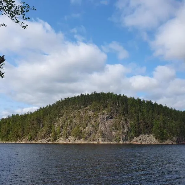 Mini cottage by lake Saimaa, hotel in Enonkoski