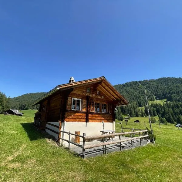 Peter's Hütte in Hasliberg Bidmi, hotel v destinaci Hasliberg