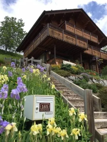 Chalet La Tanière, hotel in Saint-Jean-de-Sixt