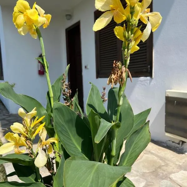 Traditional Bungalows, hotel v destinaci Kalivia Poligirou