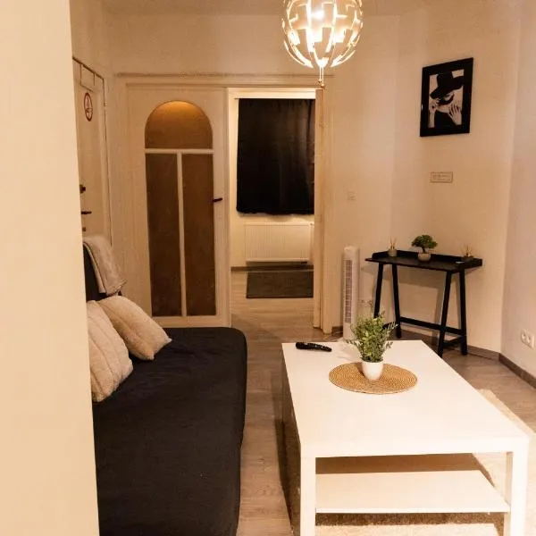 Appartement sous toit lumineux avec garage et 4 pièces en enfilade, hotel v Bruselu