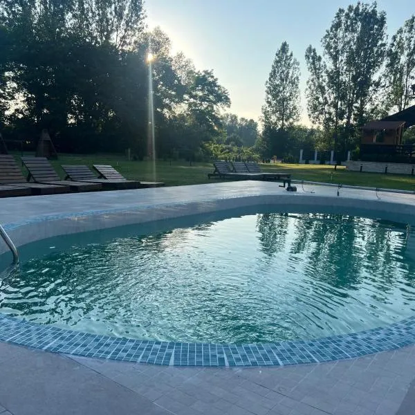 Casa cu Flori Maramures, Hotel in Baia Mare