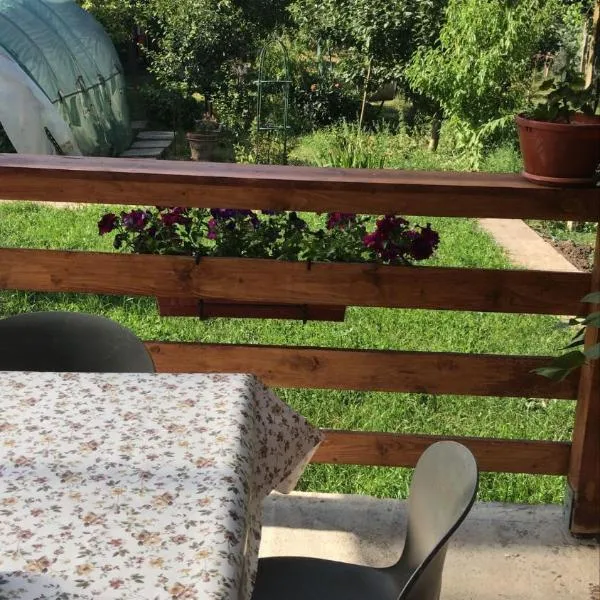 Casa EDI, hotel in Albeşti