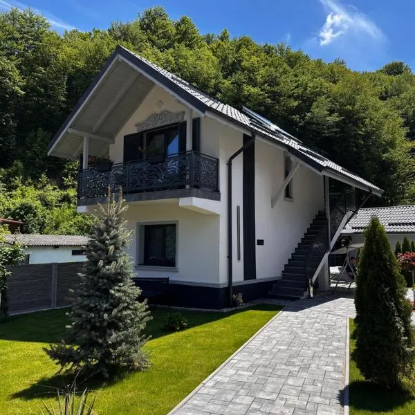 Casa din Vale apartament - Valiug, ξενοδοχείο σε Văliug