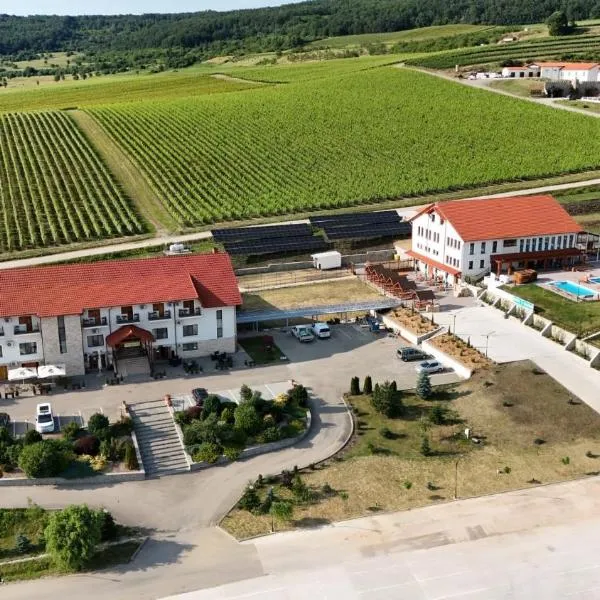 Pensiunea Fort Silvan, hotel in Camăr