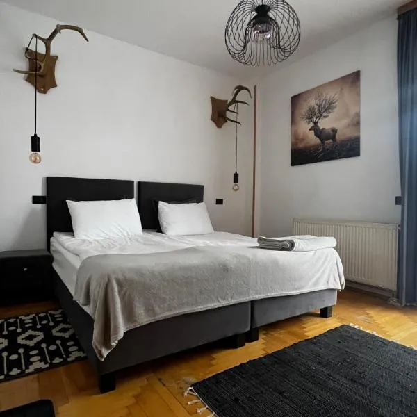 Pensiunea Alpin Predeal, hotel in Predeal