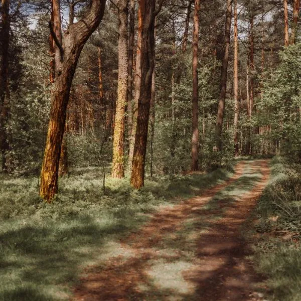 Hotel Natura Residence Business&SPA, hotel in Siewierz