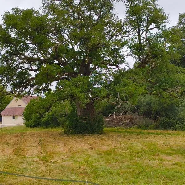 Gite l'ancien four à pain calme et douillet, hôtel à Breteau