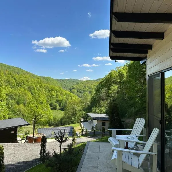 Cabanele din Valea Ursului、Bîrsanaのホテル