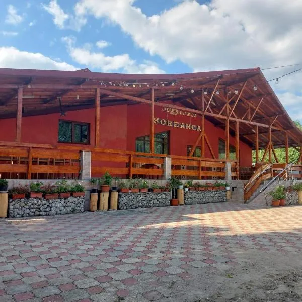 Pensiunea Soreanca, Hotel in Costeşti