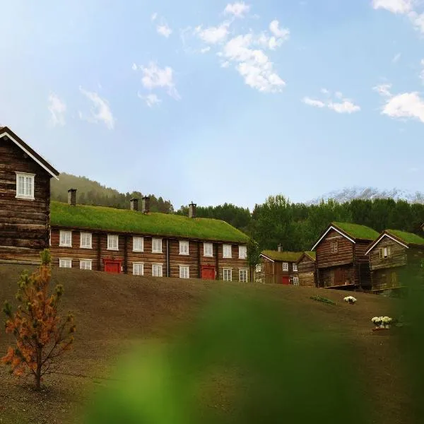 Bjerkeløkkja Bed and Breakfast，位于奥普达尔的酒店