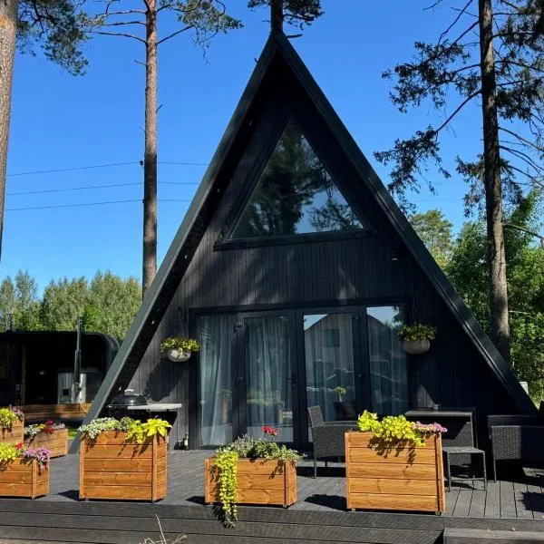 Pine house with sauna and hot tub, hotel in Skulte