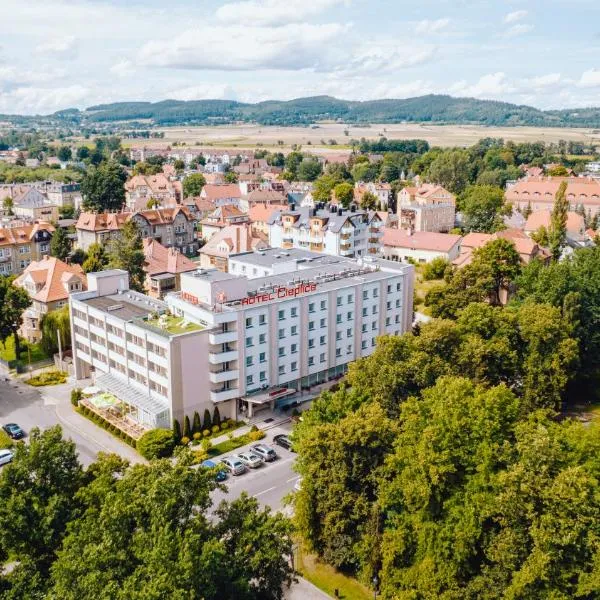 Hotel Cieplice MEDI & SPA、イェレニャ・グラのホテル