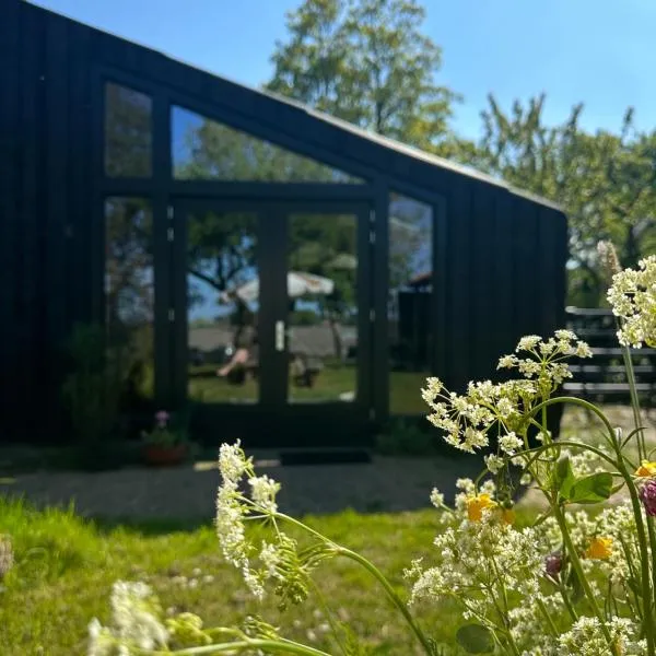 PieterBuur, ξενοδοχείο σε Pieterburen