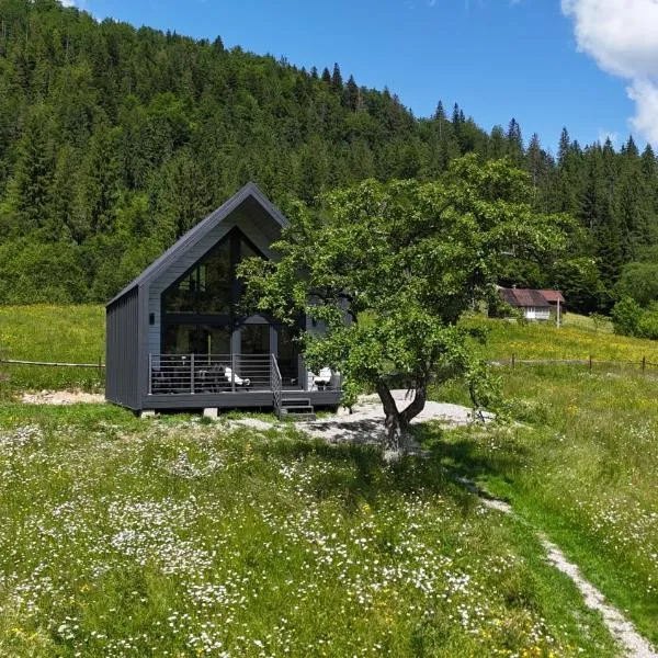 Viesnīca Котедж Mountain Hut pilsētā Jaremče