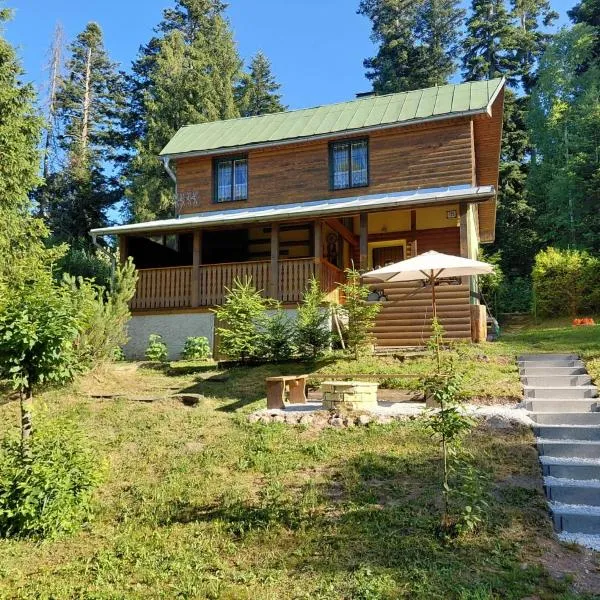 Chata Teodor, hotel in Betlanovce