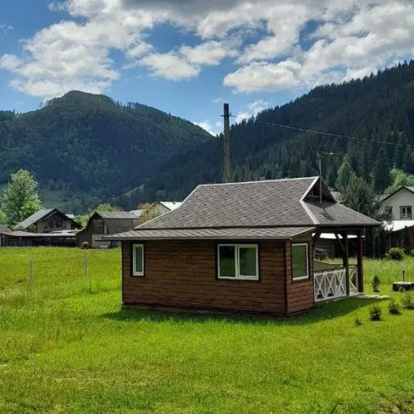 Гражда Лофт для двох в Карпатах, hotel in Krivorovnya