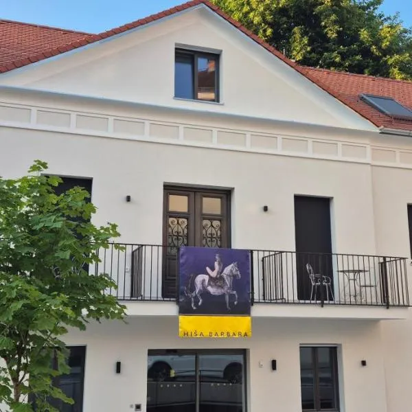 Hiša Barbara, ξενοδοχείο σε Celje