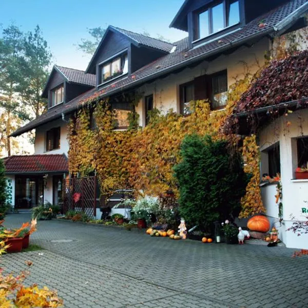 Ferien Hotel Cottbus, hotel v destinaci Kolkwitz
