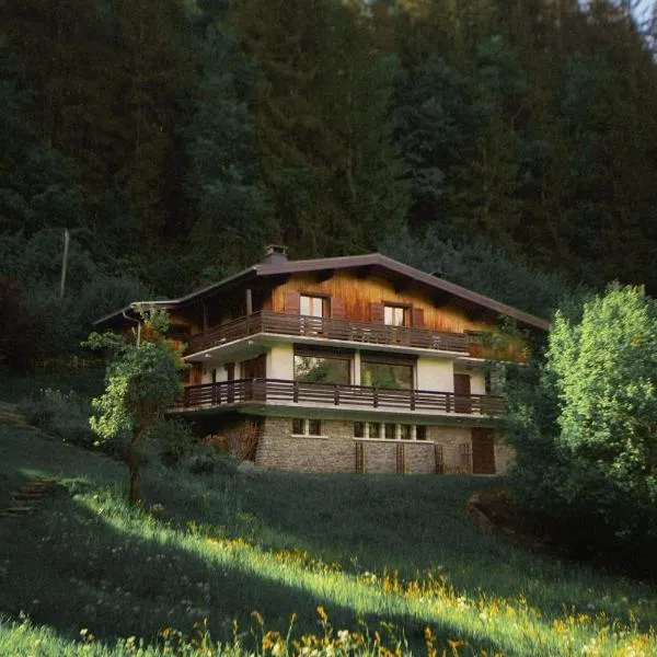 Chalet Viñales, hotel in Les Houches
