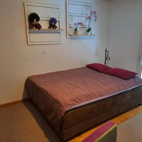 Zimmer möbliert in Uznach, ξενοδοχείο σε Uznach