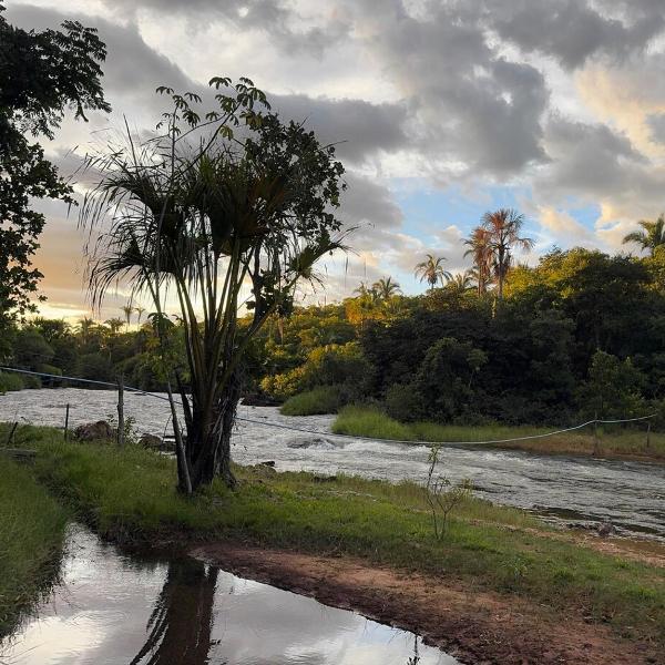 Casa do Rio, Côcos