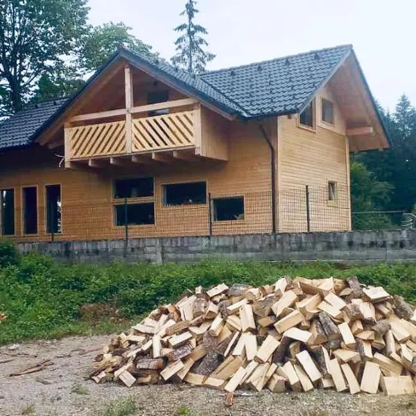 ABC Apartma Kočevsko, Hotel in Kočevje