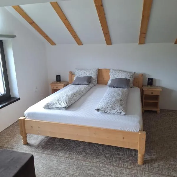 Casa Oaspeti Transfagarasan, hotel in Cârțișoara