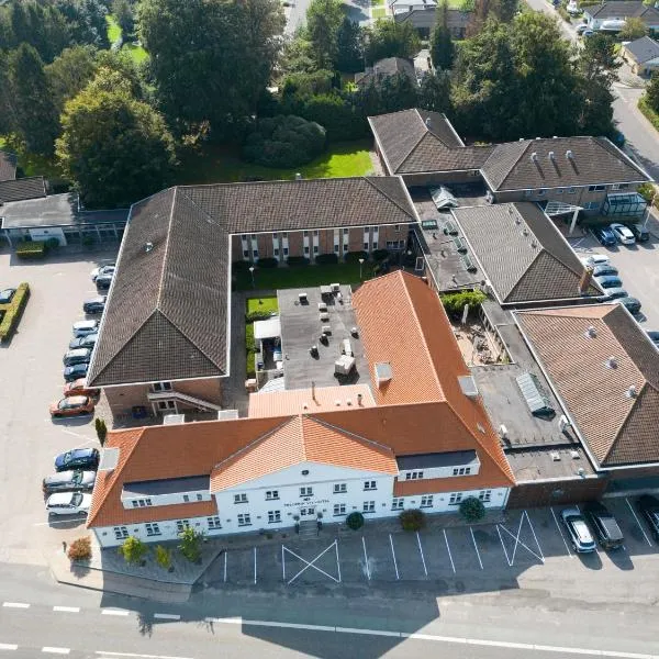 Frederik VI's Hotel, hotel en Odense