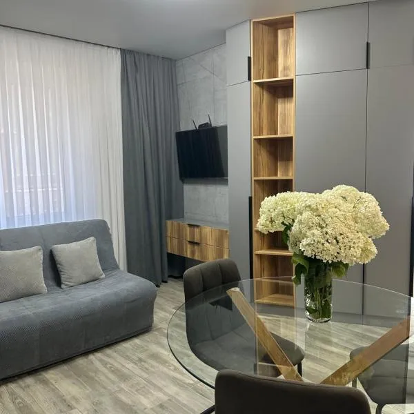 Студія на Герцена-Володимира Великого, Hotel in Czernowitz