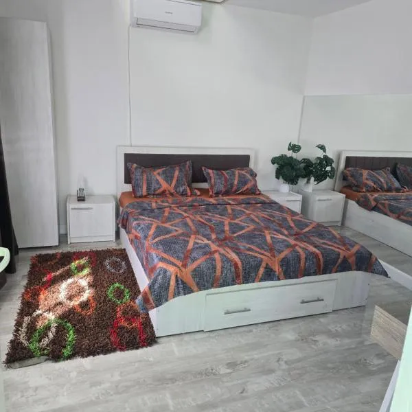 Ram, hotel v destinaci Piteşti