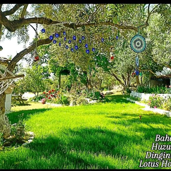 LOTUS House, hotel in Soke