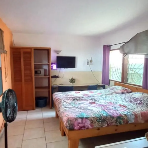 Busy Bee Apartments, hotel in Kololi