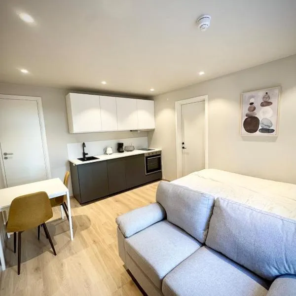 Bright & Cozy Studio - Central Location, hotel a Oslo
