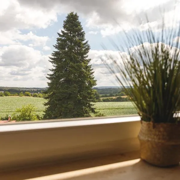 100 qm DG Wohnung 《Kehr wieder》Bexbach Saarland, hotel in Bexbach