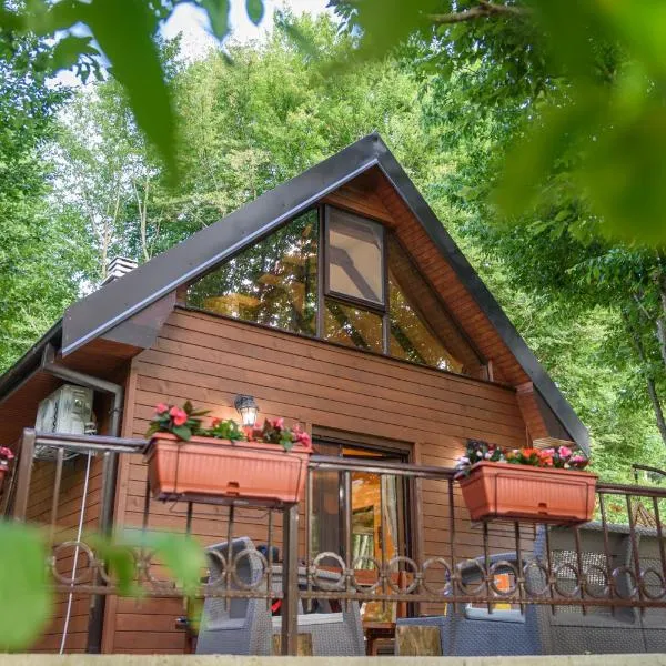 Mountain harmony Lovćen, hotel v destinaci Cetinje