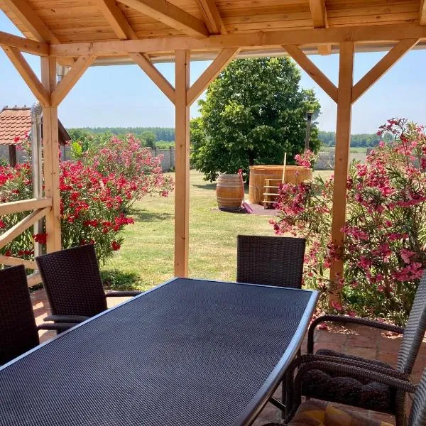 Dióhéj Vendégház, hotel in Diósviszló