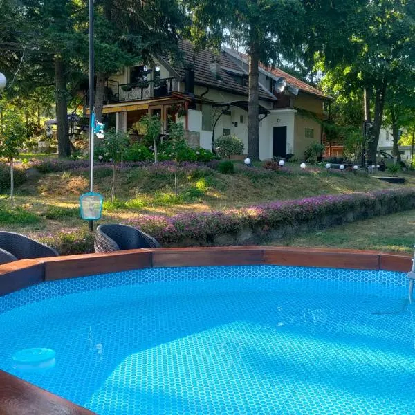 Vila Jezerski raj Borsko jezero, hotell sihtkohas Bor