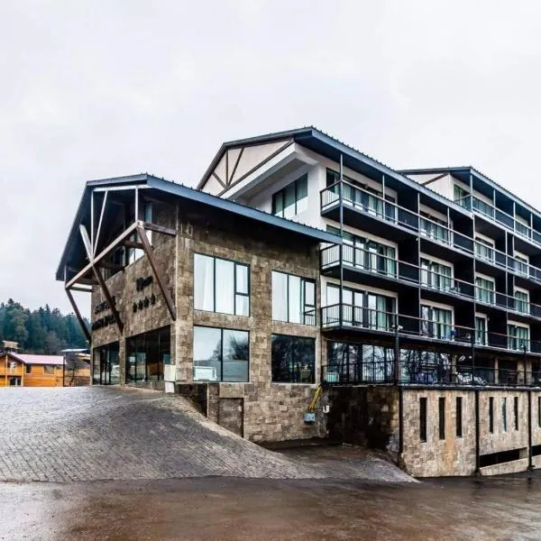 Bakuriani Art Hotel apartament, hotel in Bakuriani