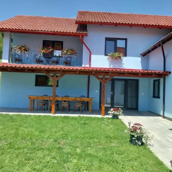 Casa Ardelean, hotel in Sita Buzăului