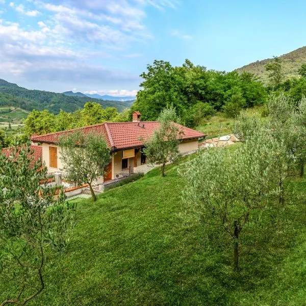 Zelkonn House, hotel en Branik