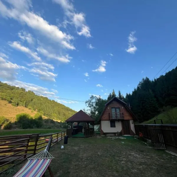 Cabana MARA, hotel in Poiana Vadului